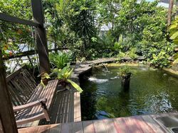 Ming Park (D20), Semi-Detached #511262651
